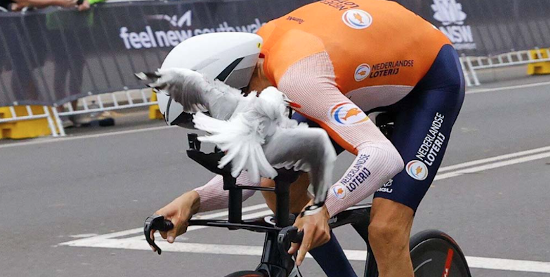 Bucky Mollema fue atacado por gaviotas en el Campeonato Mundial de Ciclismo |  Parpadea